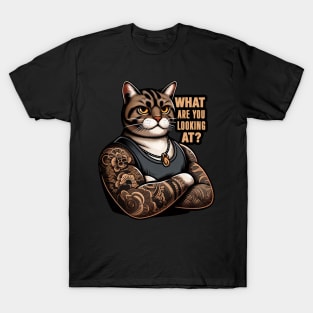 What Are You Looking At meme Tabby Cat T-Shirt